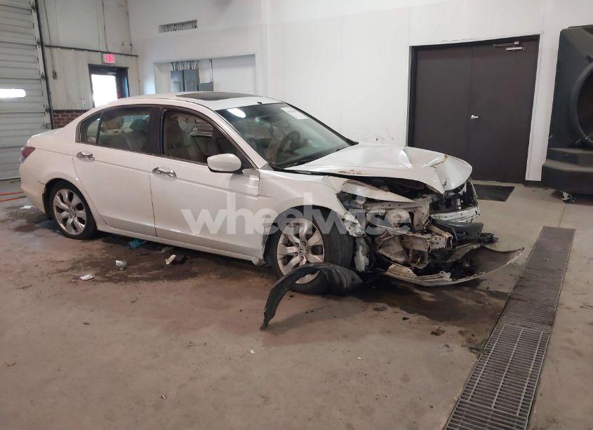 2008 Honda Accord 3.5 EX (VIN 1HGCP36758A031976) main photo