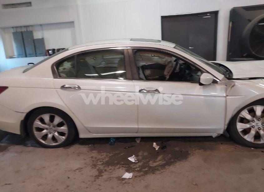 Photo 14 of 2008 Honda Accord 3.5 EX (VIN 1HGCP36758A031976)