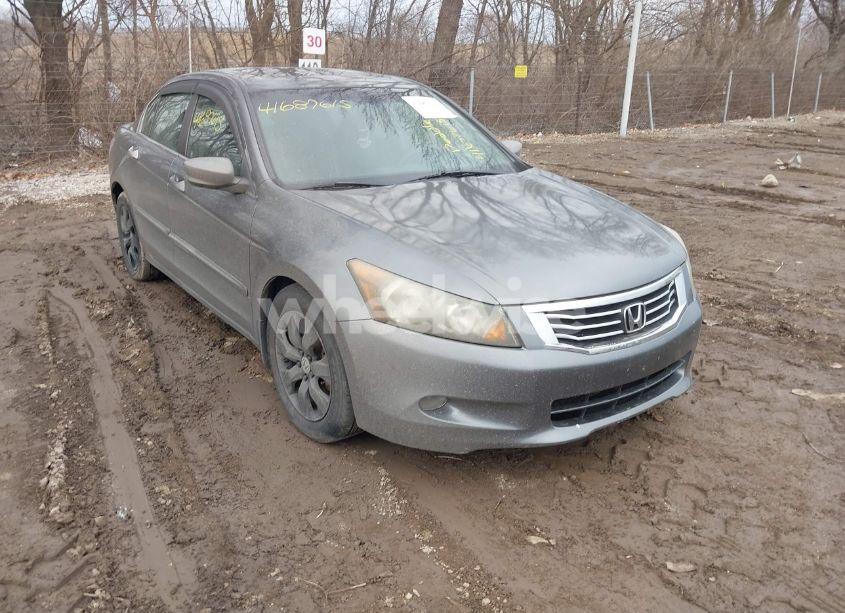 2008 Honda Accord 3.5 EX-L (VIN 1HGCP36808A004497) main photo