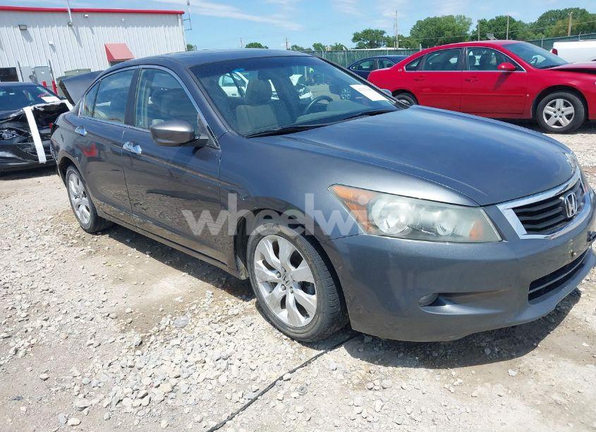 2008 Honda Accord 3.5 EX-L (VIN 1HGCP36808A013054) main photo