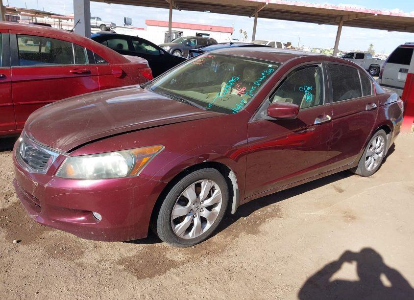 Photo 2 of 2008 Honda Accord 3.5 EX-L (VIN 1HGCP36808A024295)