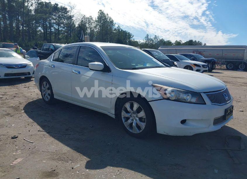 2008 Honda Accord 3.5 EX-L (VIN 1HGCP36808A028184) main photo