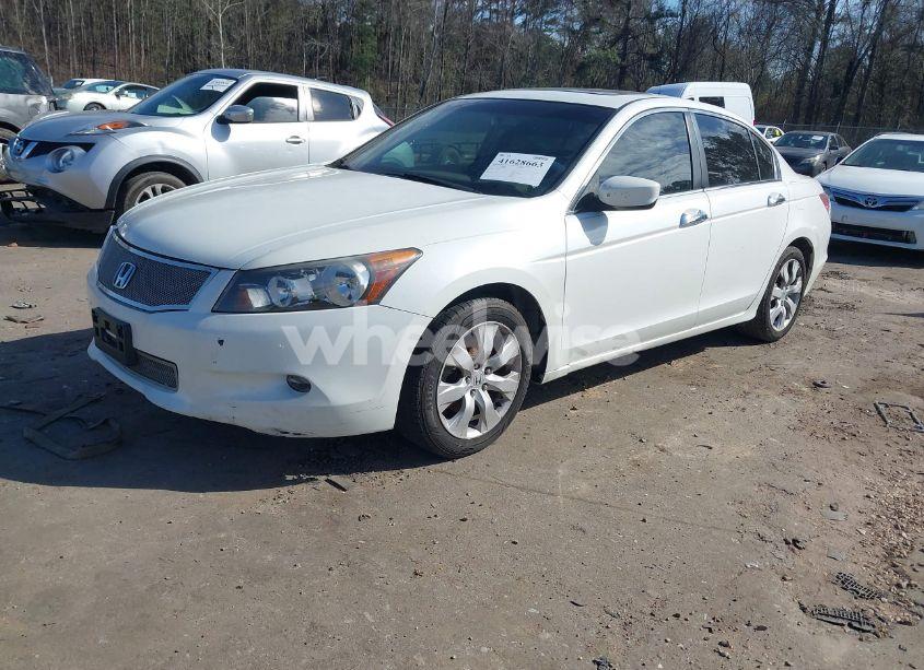 Photo 2 of 2008 Honda Accord 3.5 EX-L (VIN 1HGCP36808A028184)