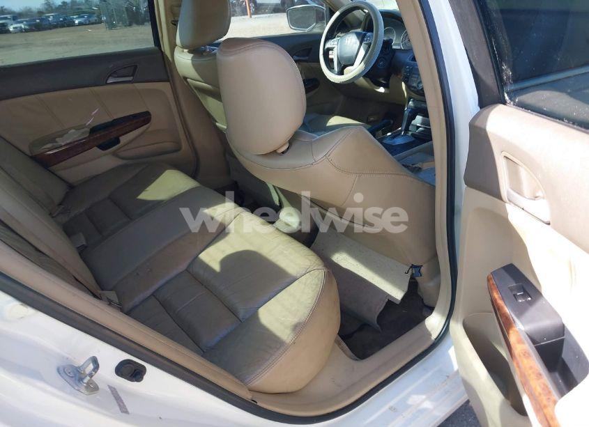 Photo 8 of 2008 Honda Accord 3.5 EX-L (VIN 1HGCP36808A028184)