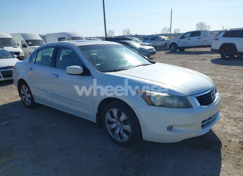 2008 Honda Accord 3.5 EX-L (VIN 1HGCP36808A036656) main photo