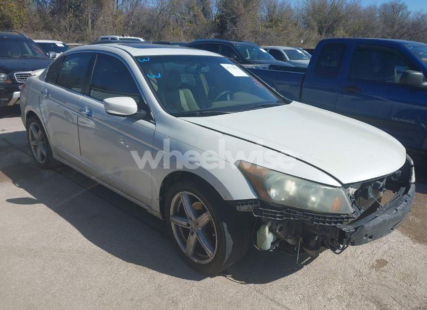 2008 Honda Accord 3.5 EX-L (VIN 1HGCP36808A066997) main photo