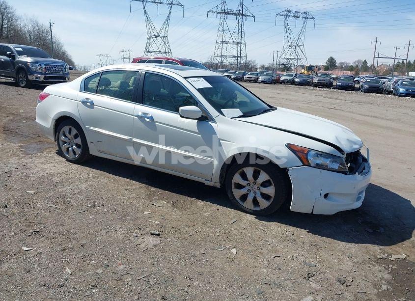2009 Honda Accord 3.5 EX-L (VIN 1HGCP36809A029529) main photo