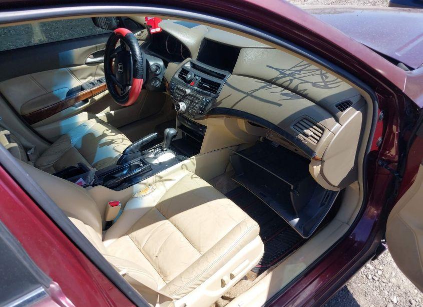 Photo 5 of 2008 Honda Accord 3.5 EX-L (VIN 1HGCP36818A055619)