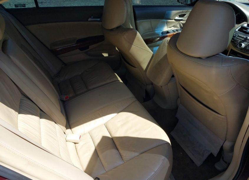 Photo 8 of 2008 Honda Accord 3.5 EX-L (VIN 1HGCP36818A055619)