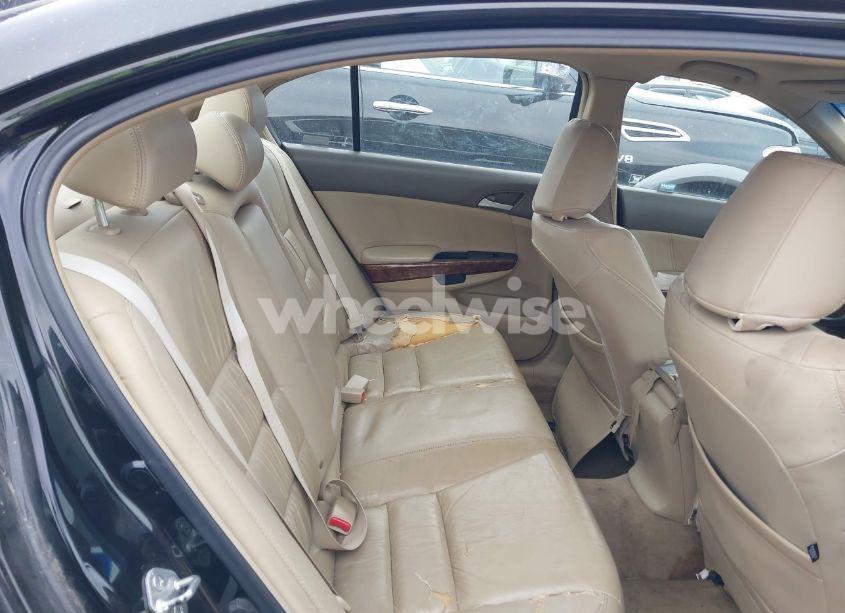 Photo 8 of 2008 Honda Accord 3.5 EX-L (VIN 1HGCP36818A062960)