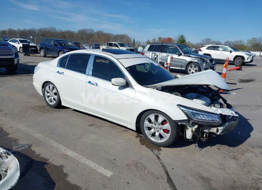 2008 Honda Accord 3.5 EX-L (VIN 1HGCP36818A066023) main photo