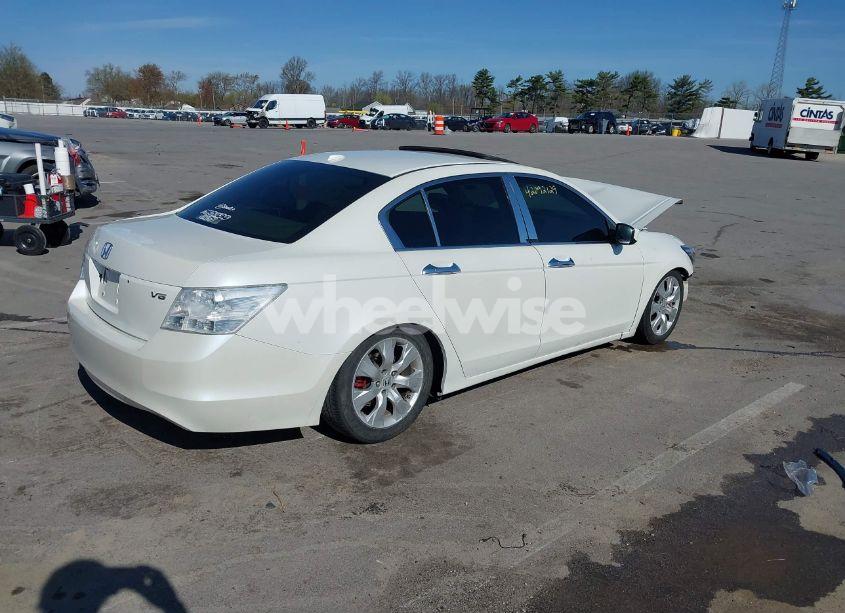 Photo 4 of 2008 Honda Accord 3.5 EX-L (VIN 1HGCP36818A066023)