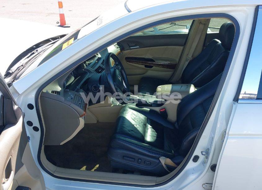 Photo 5 of 2008 Honda Accord 3.5 EX-L (VIN 1HGCP36818A066023)