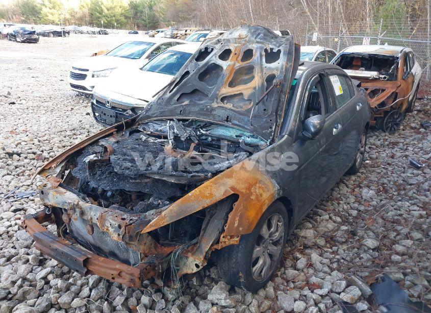 Photo 2 of 2008 Honda Accord 3.5 EX-L (VIN 1HGCP36818A066295)