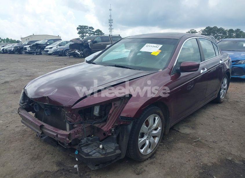 Photo 6 of 2008 Honda Accord 3.5 EX-L (VIN 1HGCP36818A076731)