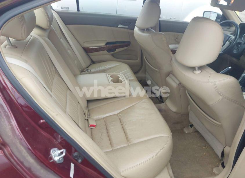 Photo 8 of 2008 Honda Accord 3.5 EX-L (VIN 1HGCP36818A076731)