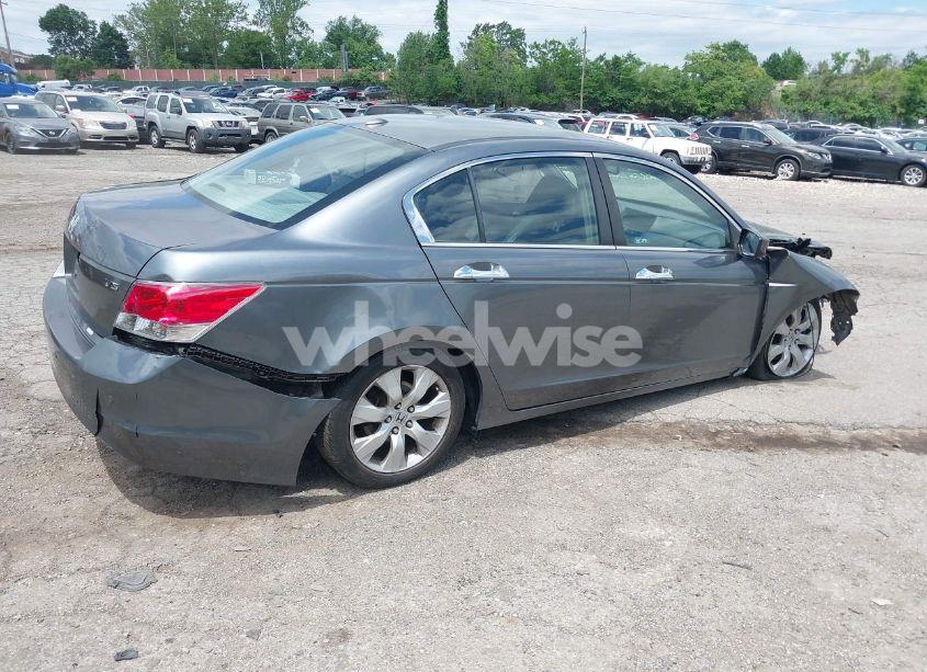Photo 4 of 2008 Honda Accord 3.5 EX-L (VIN 1HGCP36818A078219)