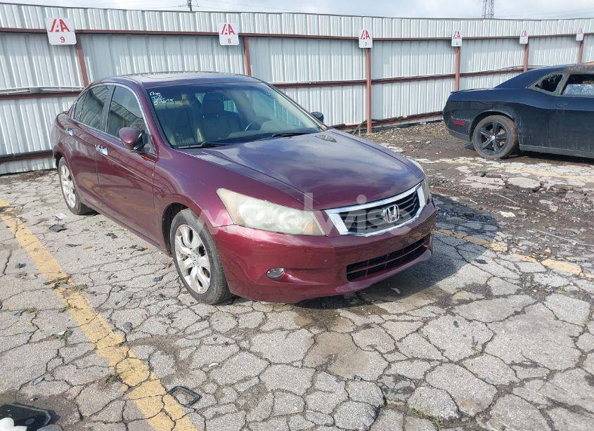 2009 Honda Accord 3.5 EX-L (VIN 1HGCP36819A013162) main photo