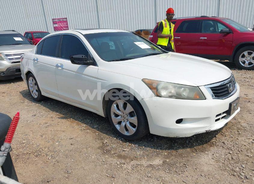 2009 Honda Accord 3.5 EX-L (VIN 1HGCP36819A023593) main photo