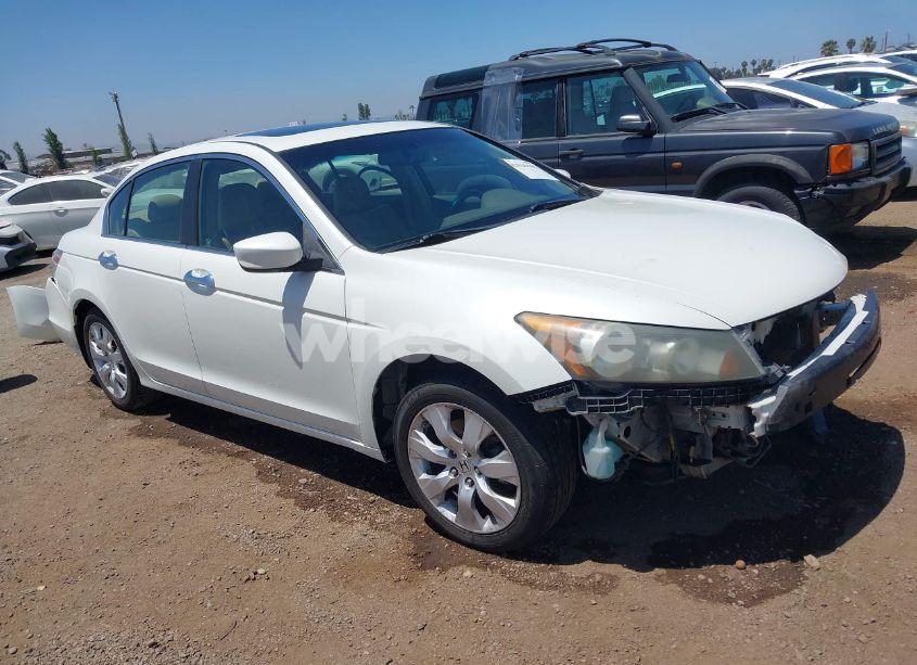 2009 Honda Accord 3.5 EX-L (VIN 1HGCP36819A023996) main photo