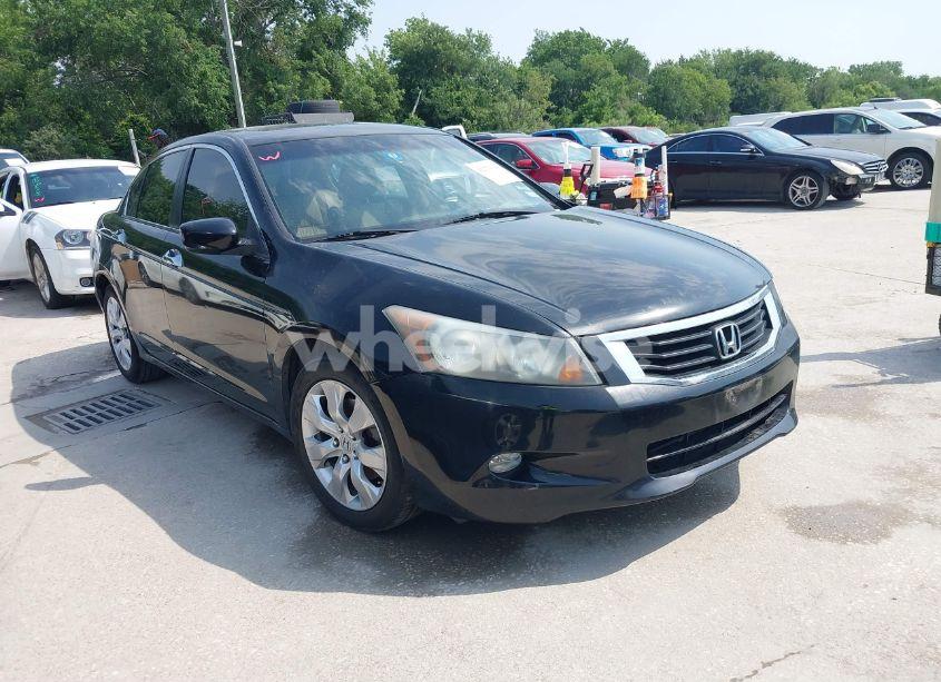 2009 Honda Accord 3.5 EX-L (VIN 1HGCP36819A037686) main photo