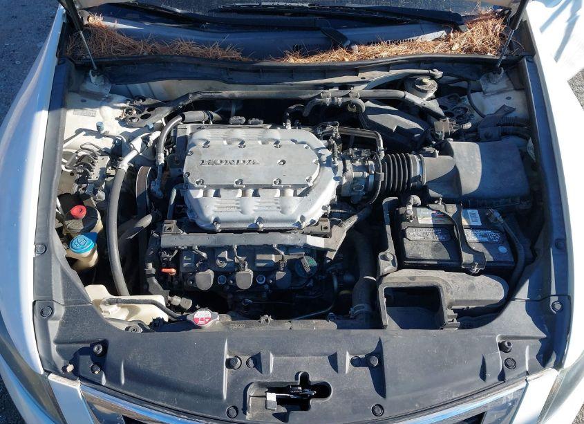 Photo 10 of 2009 Honda Accord 3.5 EX-L (VIN 1HGCP36819A045626)