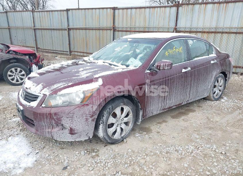 Photo 2 of 2008 Honda Accord 3.5 EX-L (VIN 1HGCP36828A010267)