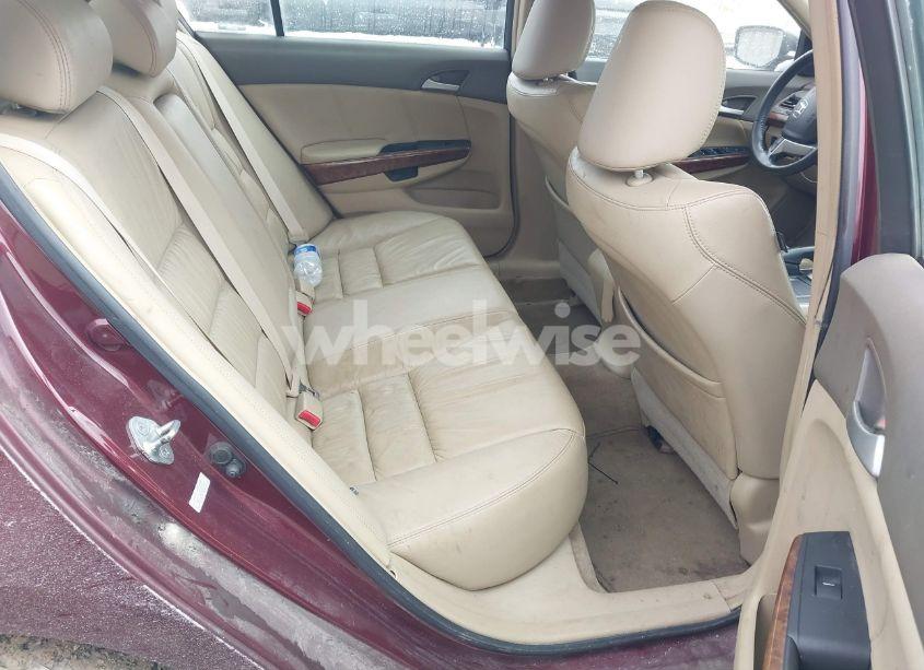 Photo 8 of 2008 Honda Accord 3.5 EX-L (VIN 1HGCP36828A010267)