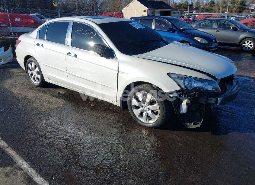 2008 Honda Accord 3.5 EX-L (VIN 1HGCP36828A031197) main photo