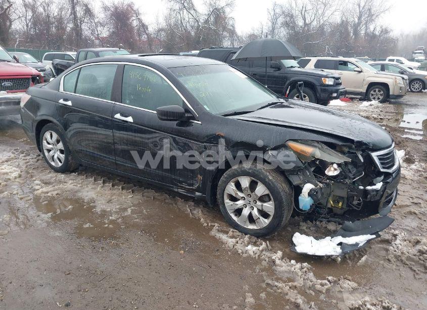 2008 Honda Accord 3.5 EX-L (VIN 1HGCP36828A060974) main photo