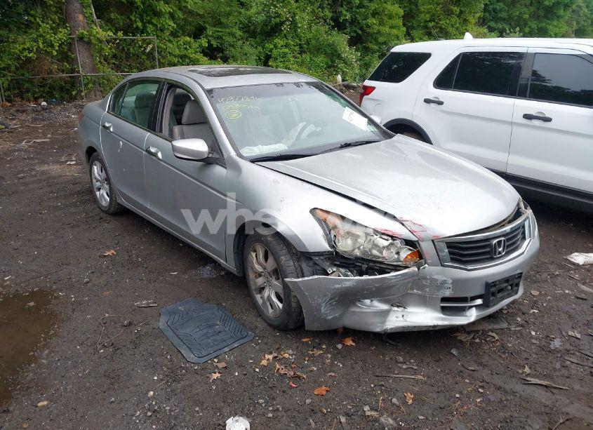 2009 Honda Accord 3.5 EX-L (VIN 1HGCP36829A035204) main photo