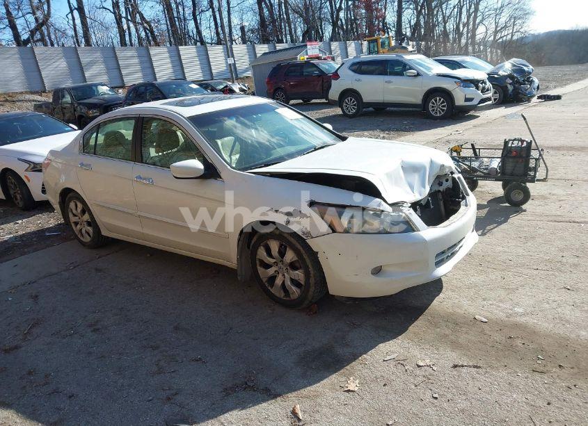 2009 Honda Accord 3.5 EX-L (VIN 1HGCP36829A036725) main photo