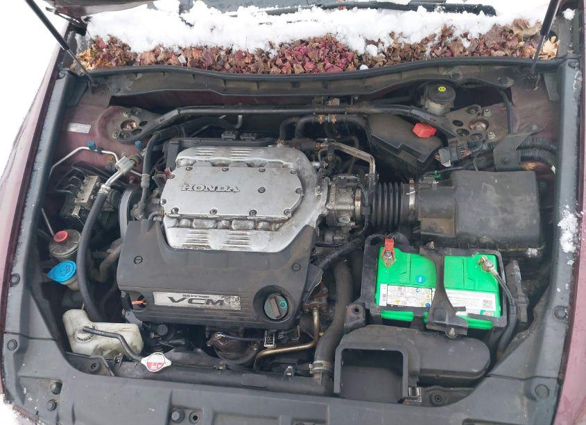 Photo 10 of 2009 Honda Accord 3.5 EX-L (VIN 1HGCP36829A040323)