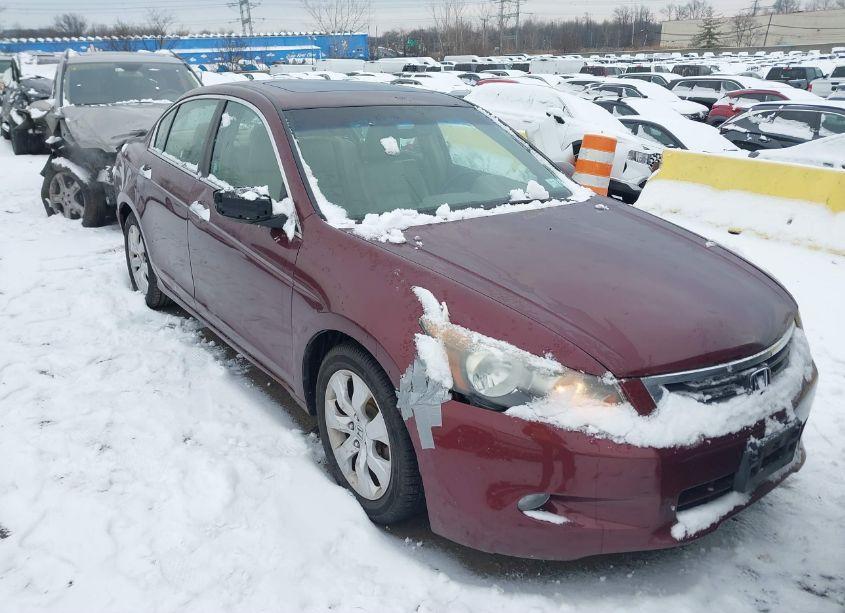 Photo 6 of 2009 Honda Accord 3.5 EX-L (VIN 1HGCP36829A040323)