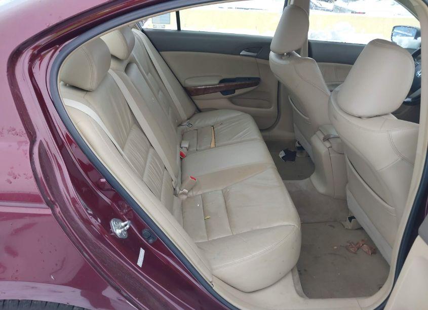 Photo 8 of 2009 Honda Accord 3.5 EX-L (VIN 1HGCP36829A040323)