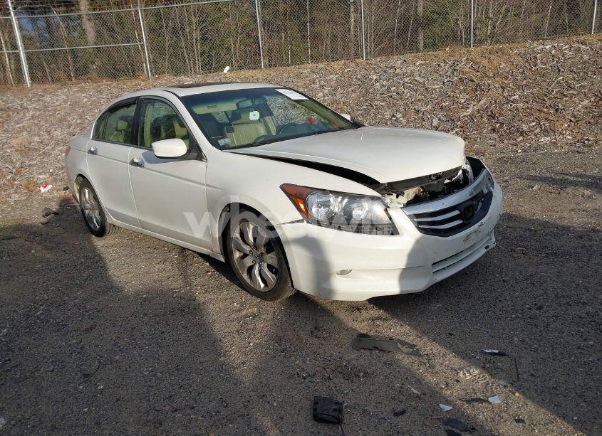 2009 Honda Accord 3.5 EX-L (VIN 1HGCP36829A047238) main photo