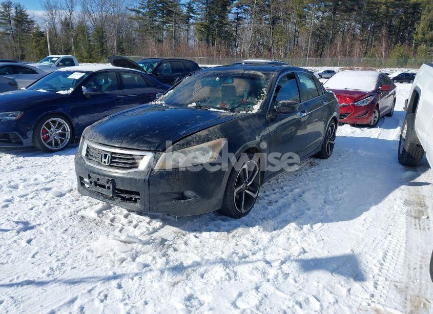 Photo 2 of 2008 Honda Accord 3.5 EX-L (VIN 1HGCP36838A071532)
