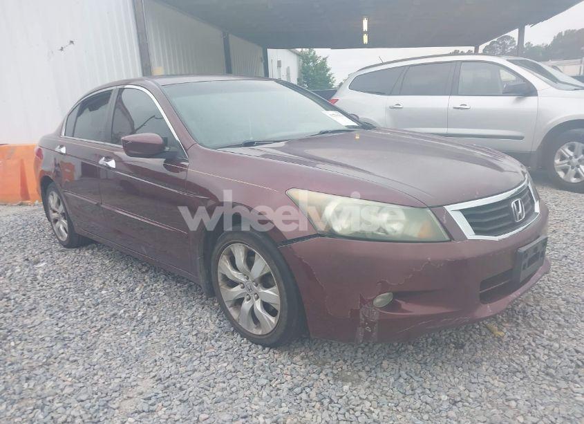 2008 Honda Accord 3.5 EX-L (VIN 1HGCP36838A077167) main photo