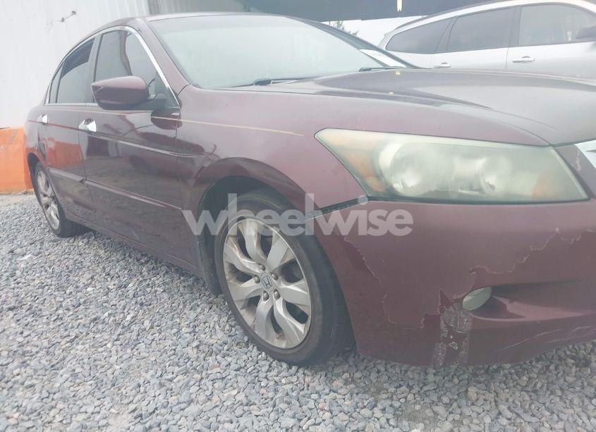Photo 6 of 2008 Honda Accord 3.5 EX-L (VIN 1HGCP36838A077167)