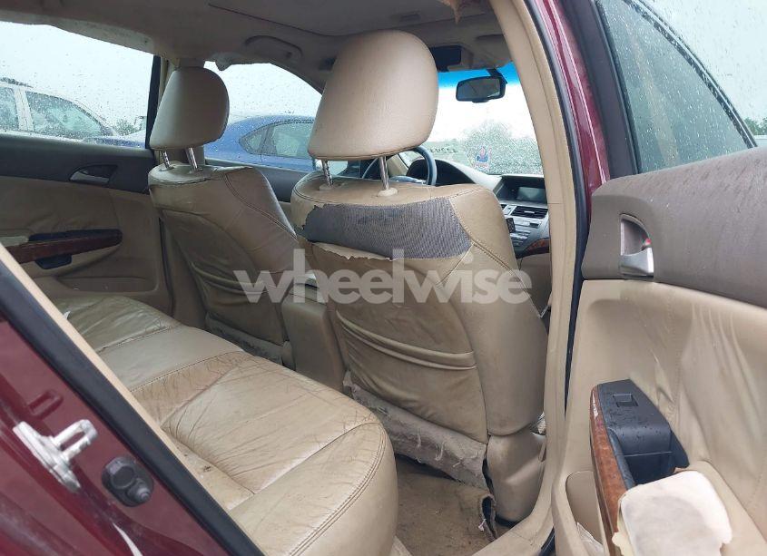 Photo 8 of 2008 Honda Accord 3.5 EX-L (VIN 1HGCP36838A077167)