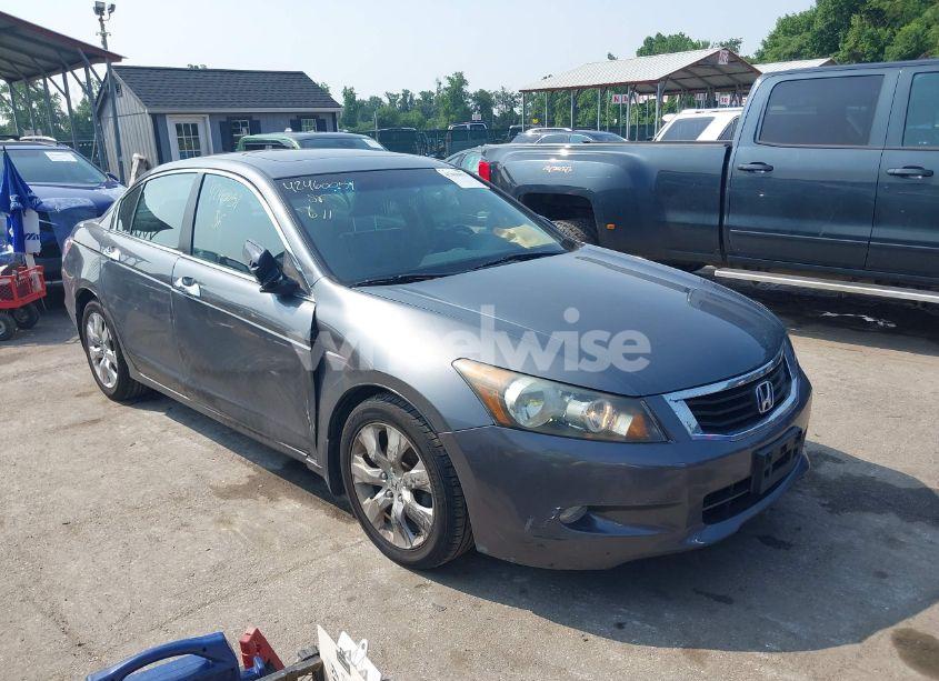 2008 Honda Accord 3.5 EX-L (VIN 1HGCP36838A088797) main photo