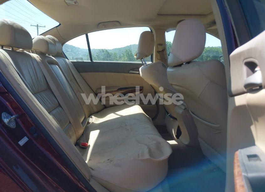 Photo 8 of 2009 Honda Accord 3.5 EX-L (VIN 1HGCP36839A001160)