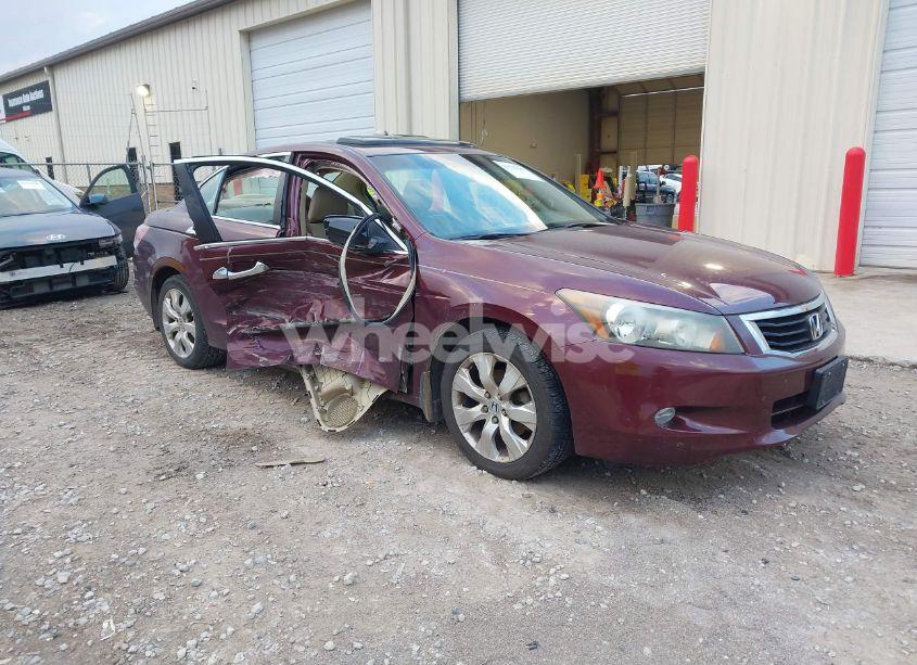 2009 Honda Accord 3.5 EX-L (VIN 1HGCP36839A014250) main photo