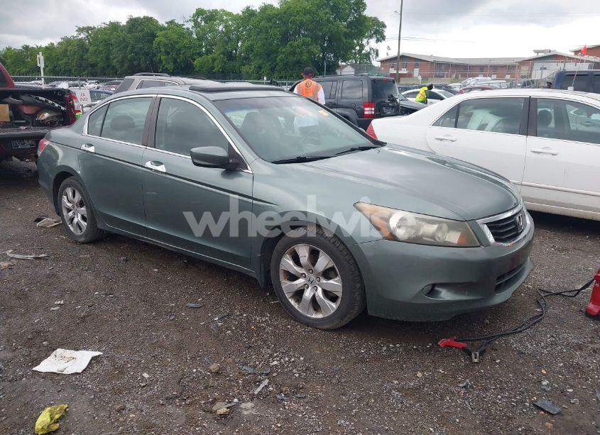 2009 Honda Accord EXL (VIN 1HGCP36839A024065) main photo