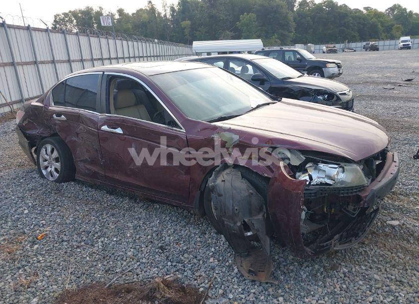 2008 Honda Accord 3.5 EX-L (VIN 1HGCP36848A012411) main photo