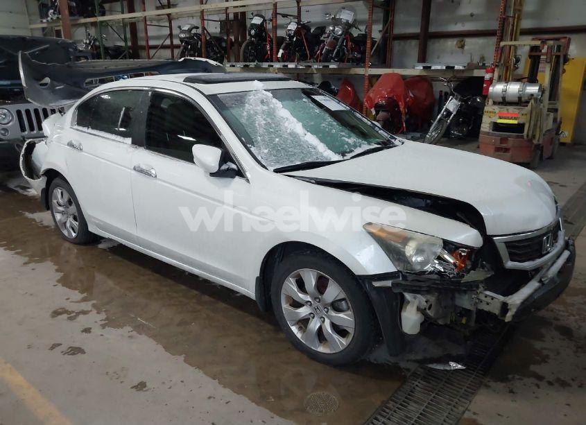 2008 Honda Accord 3.5 EX-L (VIN 1HGCP36848A034084) main photo