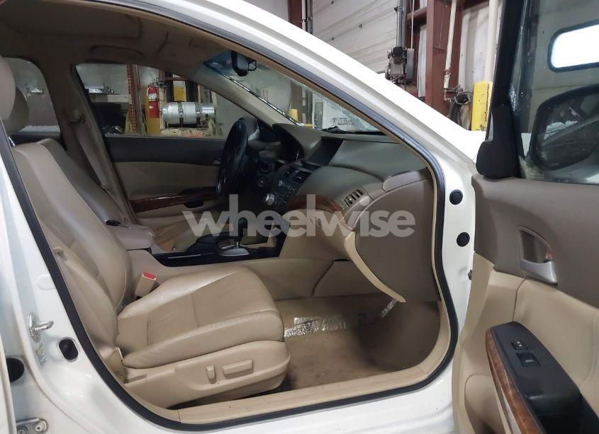 Photo 5 of 2008 Honda Accord 3.5 EX-L (VIN 1HGCP36848A034084)