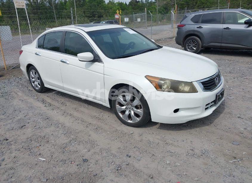2009 Honda Accord 3.5 EX-L (VIN 1HGCP36849A004536) main photo