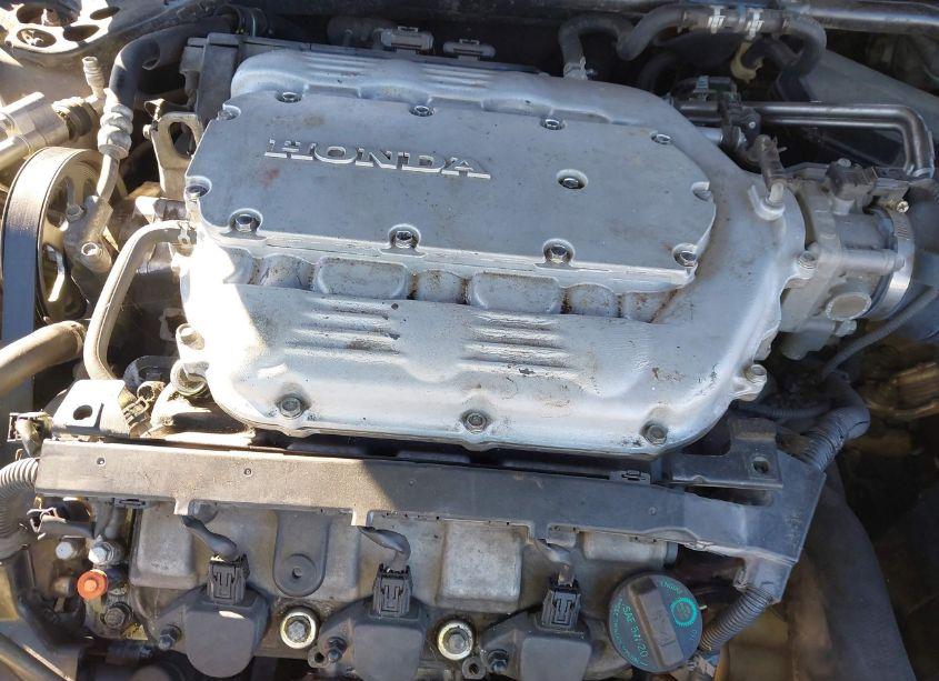 Photo 10 of 2009 Honda Accord 3.5 EX-L (VIN 1HGCP36849A014404)