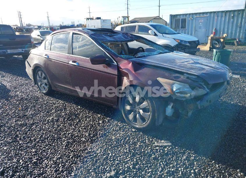 2009 Honda Accord 3.5 EX-L (VIN 1HGCP36849A051629) main photo